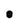 Shock Cord Buttons Nylon
