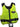 Zhik Active lime